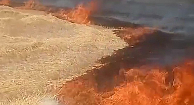 Beypazarı’nda Anız ve Sap Yangını