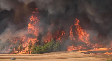 Bilecik ve İzmir, “Genel Hayata Etkili Afet Bölgesi” İlan Edildi