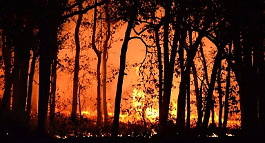 Çanakkale Ayvacık’ta orman yangını: 4 köy tahliye edildi