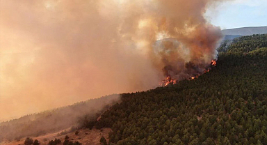 Çankırı’nın Yapraklı İlçesinde Orman Yangını: Müdahale Sürüyor