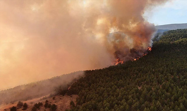 Çankırı’nın Yapraklı İlçesinde Orman Yangını: Müdahale Sürüyor
