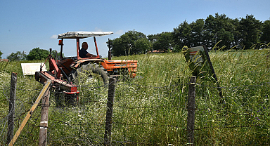 Çiftçilere 1,7 Milyar Liralık Destekleme Ödemesi Yapılıyor