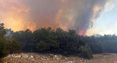 Eskişehir'in Seyitgazi İlçesinde Orman Yangınına Müdahale Sürüyor