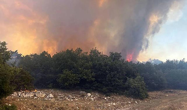 Eskişehir'in Seyitgazi İlçesinde Orman Yangınına Müdahale Sürüyor