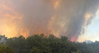 Eskişehir Seyitgazi’de orman yangını: Müdahale sürüyor