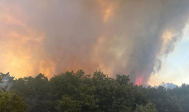 Eskişehir Seyitgazi’de orman yangını: Müdahale sürüyor