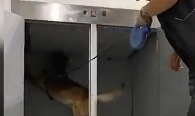 Gümrükten dev operasyon: 1,6 milyar lira uyuşturucu yakalandı