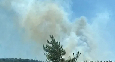 Hatay’daki orman yangınıyla ilgili gelişme: 1 şüpheli tutuklandı