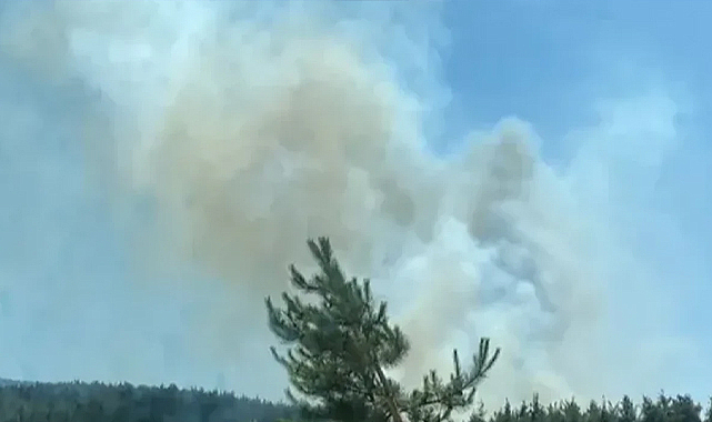 Hatay’daki orman yangınıyla ilgili gelişme: 1 şüpheli tutuklandı