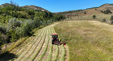 Hububat ve bakliyat ihracatı yılın ilk yarısında 6 milyar doları aştı