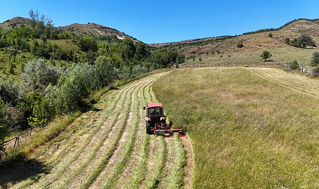 Hububat ve bakliyat ihracatı yılın ilk yarısında 6 milyar doları aştı
