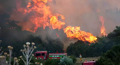 İzmir'de Orman Yangını: Bornova'da Başlayan Alevler Buca’ya Sıçradı