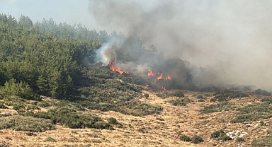 Manisa, Tekirdağ ve Çanakkale’de orman yangınları: Müdahale sürüyor