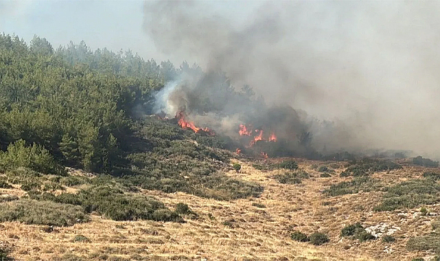 Manisa, Tekirdağ ve Çanakkale’de orman yangınları: Müdahale sürüyor