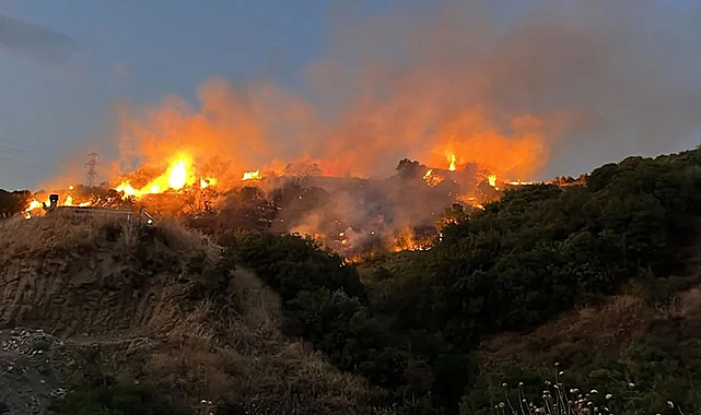 Manisa Yunusemre'deki Orman Yangını Kontrol Altına Alındı