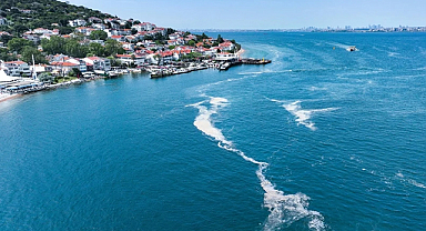 Marmara’da Temmuz Araştırmasında Müsilaj Gözlenmedi