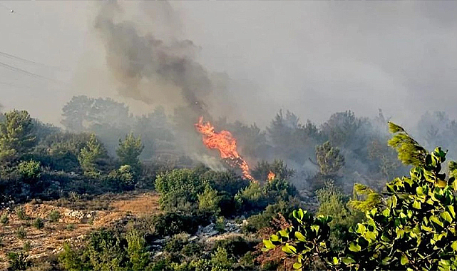 Mersin Silifke’de Orman Yangını!