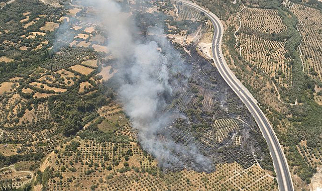 Muğla'da Antik Kenti Yakınlarında Yangın: Havadan ve Karadan Müdahale Sürüyor