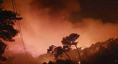 Muğla’daki Orman Yangınlarının Yüzde 88’i İnsan Kaynaklı