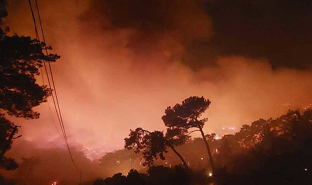 Muğla’daki Orman Yangınlarının Yüzde 88’i İnsan Kaynaklı