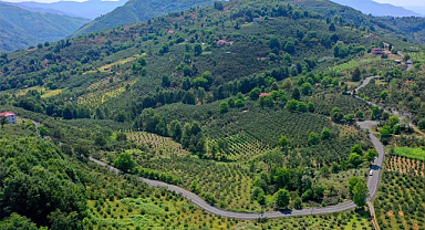 Ordu'dan Samsun'a Bağlantı Sağlayan Yolda Son Düzlük