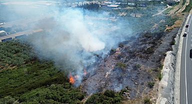 Orhangazi’de Zeytinlik Yangını: 2 Çocuk Gözaltında