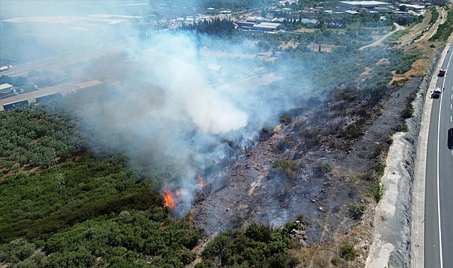 Orhangazi’de Zeytinlik Yangını: 2 Çocuk Gözaltında