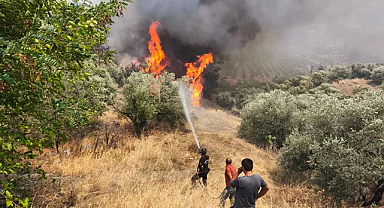 Orman Yangınlarıyla Mücadelede 39 Bin Gönüllü Sahada Görev Aldı