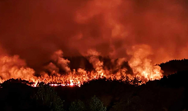 Sakarya-Bilecik Orman Yangını Kontrol Altında: Dumanlar Eskişehir'e Ulaştı