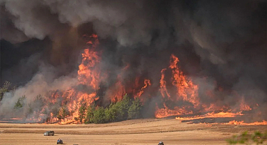 Sakarya-Bilecik Sınırındaki Orman Yangını 4. Gününde