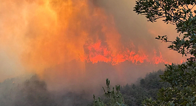 Sakarya Hendek’teki Orman Yangını Soğutma Aşamasında