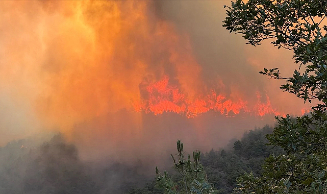 Sakarya Hendek’teki Orman Yangını Soğutma Aşamasında