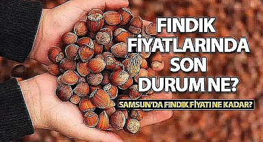 Samsun'da Fındık Fiyatlarında Son Durum! 17 Temmuz 2025 Fındık Fiyatları