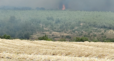 Silivri’de otluk alanda başlayan yangın ormana sıçradı