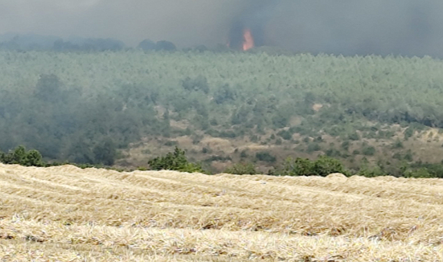 Silivri’de otluk alanda başlayan yangın ormana sıçradı