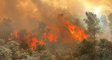 Son 15 Günde Yangınlarla İlgili 17 Kişi Tutuklandı