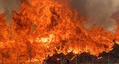 Son Bir Ayda Orman Yangınları Arttı: 612 Yangın Söndürüldü