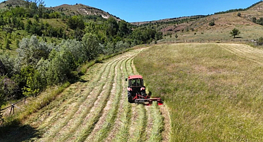 Tarım ÜFE, Haziran Ayında Yüzde 18,82 Artış Gösterdi