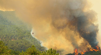 Uşak’ta Orman Yangını: Müdahale Sürüyor