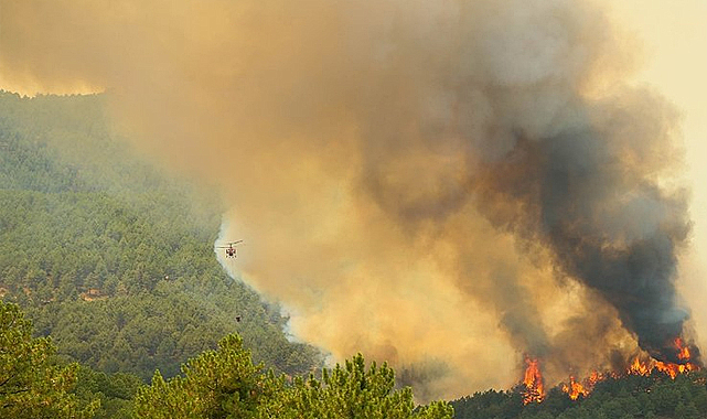 Uşak’ta Orman Yangını: Müdahale Sürüyor