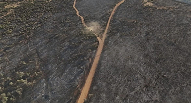 Uşak'taki Yangının Tahribatı Görüntülendi: Türkiye'nin Ciğerleri Yandı