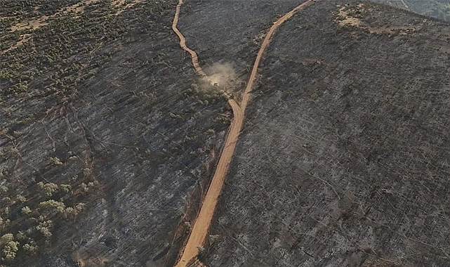 Uşak'taki Yangının Tahribatı Görüntülendi: Türkiye'nin Ciğerleri Yandı
