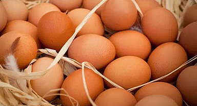 Yumurtada yeni dönem: Raf ömrü uzatıldı