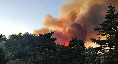 Adana İmamoğlu'nda Orman Yangını