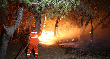 Ayvacık Yangınına Neden Olan İki Kişi Serbest Bırakıldı