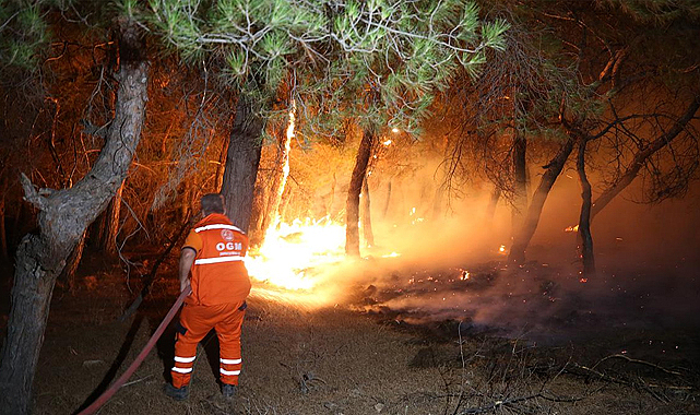 Ayvacık Yangınına Neden Olan İki Kişi Serbest Bırakıldı