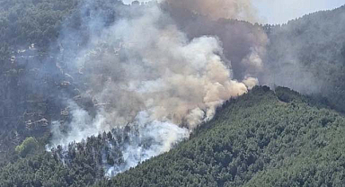 Bolu'da Orman Yangınına Havadan ve Karadan Müdahale