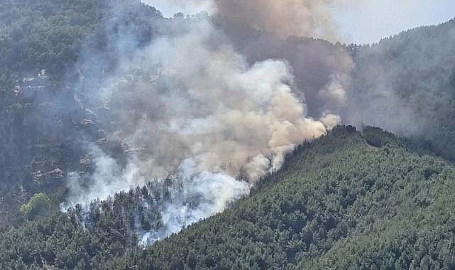 Bolu'da Orman Yangınına Havadan ve Karadan Müdahale