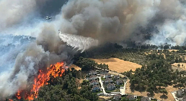 Çanakkale’de Orman Yangını: Üniversite Yerleşkesi Tahliye Ediliyor