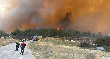 Çanakkale Kepez’de Orman Yangını